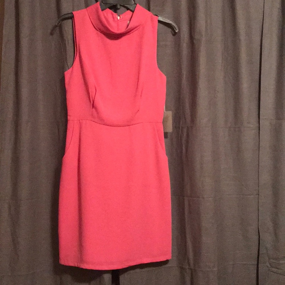 Brand new Pink work dress